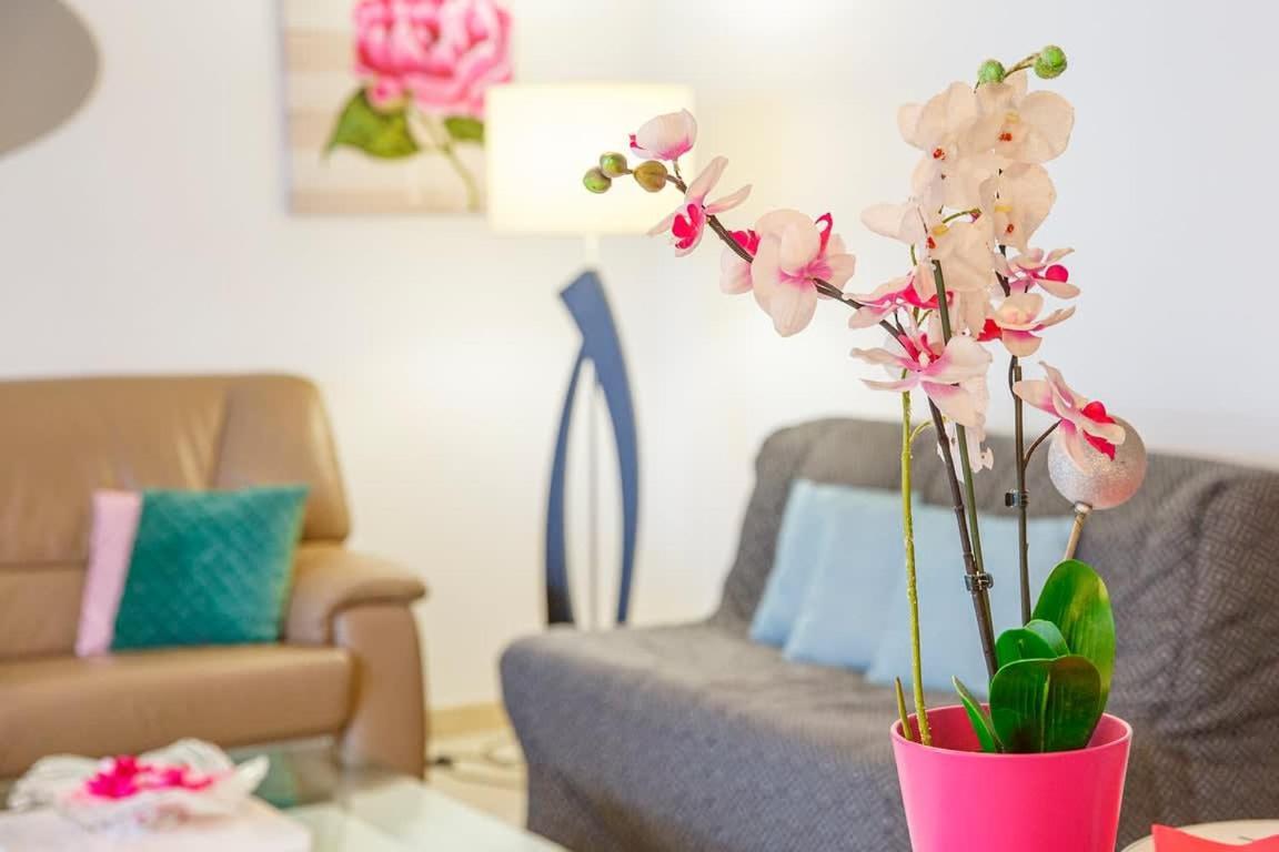 Appartement Camelia - Et Intra-muros -parking Saint-Malo